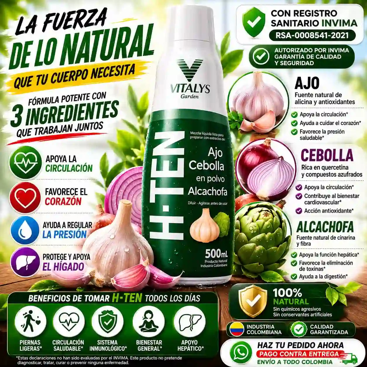 H-TEN La fórmula natural con ajo, cebolla y alcachofa que apoya tu bienestar cardiovascular, la circulación y tu rutina de cuidado diario.