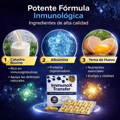 ImmunoX Transfer-¿Te enfermas seguido? Refuerza tus defensas desde la raíz - 30 capsulas