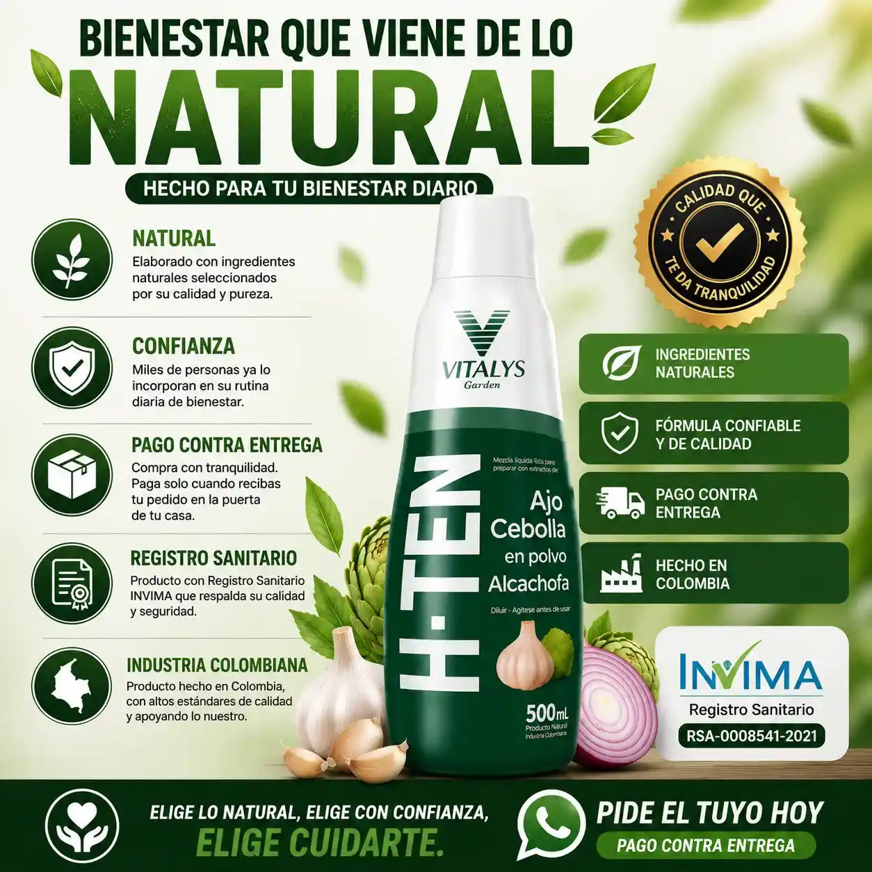 H-TEN La fórmula natural con ajo, cebolla y alcachofa que apoya tu bienestar cardiovascular, la circulación y tu rutina de cuidado diario.