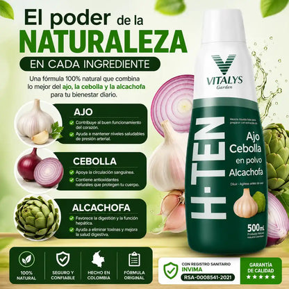 H-TEN La fórmula natural con ajo, cebolla y alcachofa que apoya tu bienestar cardiovascular, la circulación y tu rutina de cuidado diario.