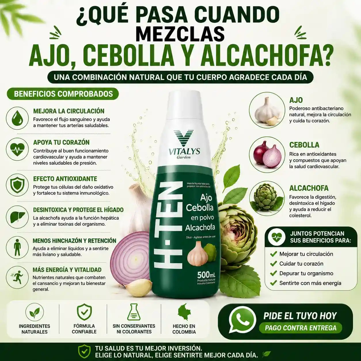 H-TEN La fórmula natural con ajo, cebolla y alcachofa que apoya tu bienestar cardiovascular, la circulación y tu rutina de cuidado diario.