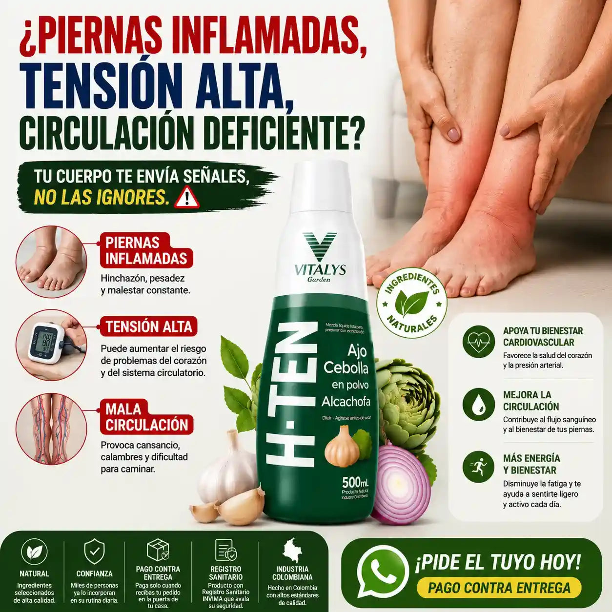H-TEN La fórmula natural con ajo, cebolla y alcachofa que apoya tu bienestar cardiovascular, la circulación y tu rutina de cuidado diario.