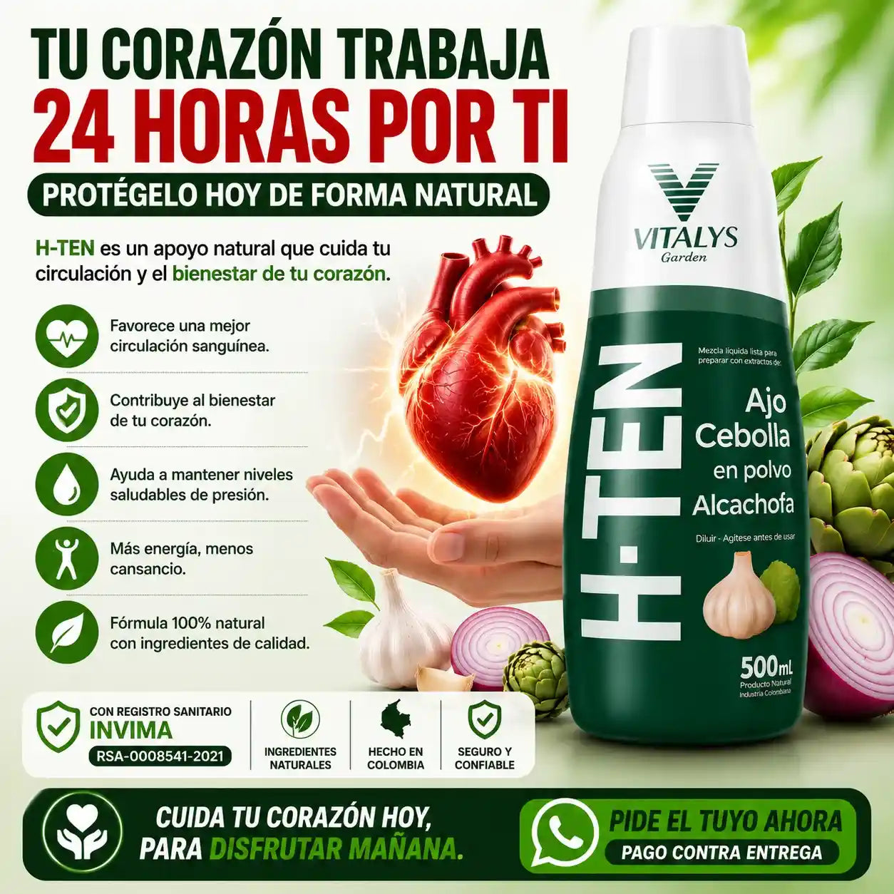 H-TEN La fórmula natural con ajo, cebolla y alcachofa que apoya tu bienestar cardiovascular, la circulación y tu rutina de cuidado diario.