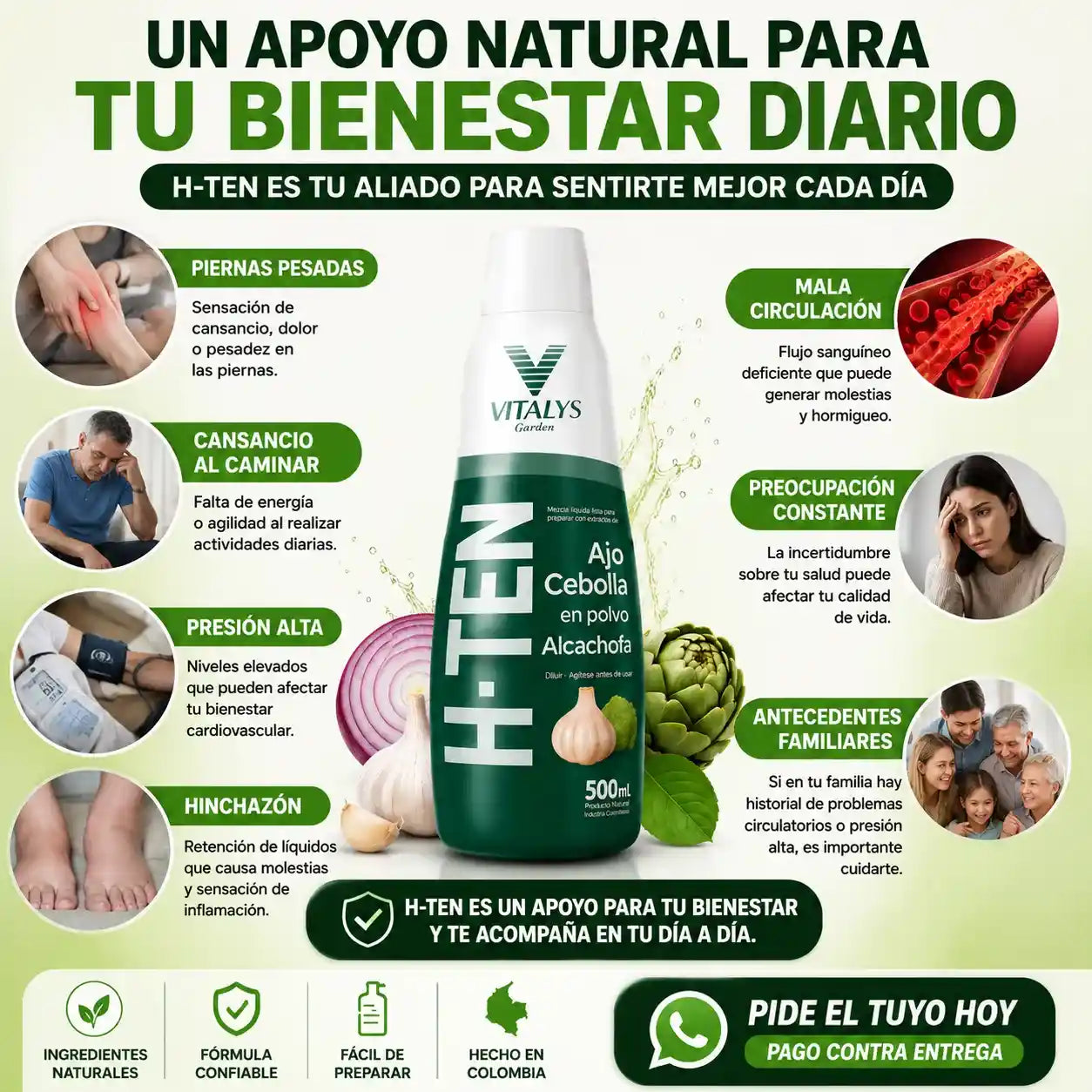 H-TEN La fórmula natural con ajo, cebolla y alcachofa que apoya tu bienestar cardiovascular, la circulación y tu rutina de cuidado diario.