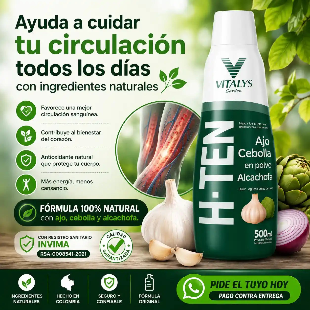 H-TEN La fórmula natural con ajo, cebolla y alcachofa que apoya tu bienestar cardiovascular, la circulación y tu rutina de cuidado diario.