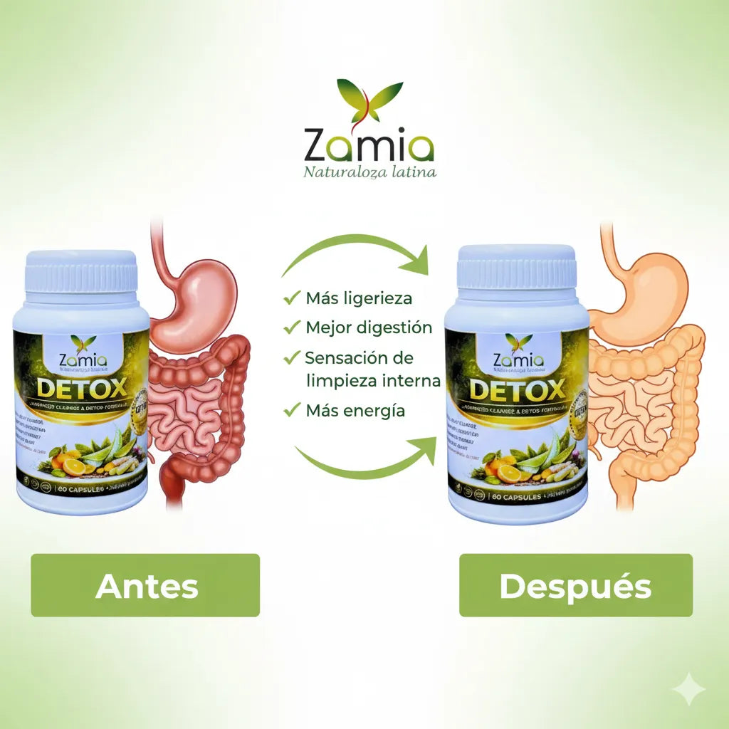 Zamia Detox Original apoya la limpieza interna de forma natural, ayudando a tu organismo a eliminar toxinas acumuladas (60 capsulas)